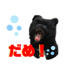 myucolon(◡̈)/2（個別スタンプ：5）