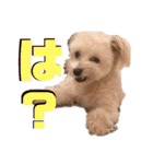 myucolon(◡̈)/2（個別スタンプ：7）