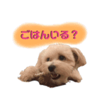 myucolon(◡̈)/2（個別スタンプ：9）