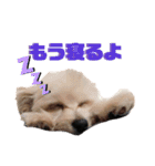myucolon(◡̈)/2（個別スタンプ：10）