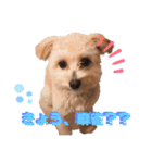 myucolon(◡̈)/2（個別スタンプ：11）