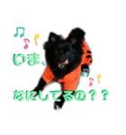 myucolon(◡̈)/2（個別スタンプ：12）