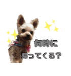 myucolon(◡̈)/2（個別スタンプ：15）