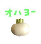 野菜 かぶ と 手書き風文字（個別スタンプ：3）