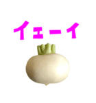 野菜 かぶ と 手書き風文字（個別スタンプ：35）