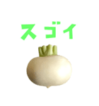 野菜 かぶ と 手書き風文字（個別スタンプ：39）