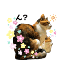 呆れるMOKAちゃんのスタンプ（個別スタンプ：3）