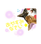 呆れるMOKAちゃんのスタンプ（個別スタンプ：8）