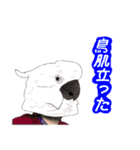 動物マスクメン（個別スタンプ：8）