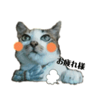 ねこのウリ2（個別スタンプ：1）