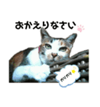 ねこのウリ2（個別スタンプ：6）
