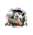 ねこのウリ2（個別スタンプ：7）