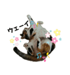 ねこのウリ2（個別スタンプ：8）