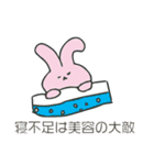 保湿ウサギ（個別スタンプ：28）
