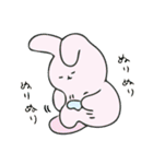 保湿ウサギ（個別スタンプ：40）