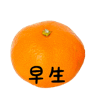 超柑橘スタンプ（個別スタンプ：2）