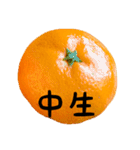 超柑橘スタンプ（個別スタンプ：3）