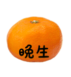 超柑橘スタンプ（個別スタンプ：4）