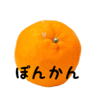 超柑橘スタンプ（個別スタンプ：6）