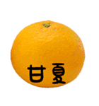 超柑橘スタンプ（個別スタンプ：9）