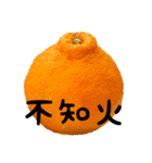 超柑橘スタンプ（個別スタンプ：11）