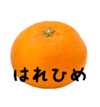 超柑橘スタンプ（個別スタンプ：13）