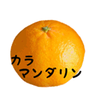 超柑橘スタンプ（個別スタンプ：14）
