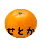 超柑橘スタンプ（個別スタンプ：15）