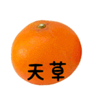 超柑橘スタンプ（個別スタンプ：16）