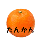 超柑橘スタンプ（個別スタンプ：19）