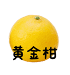 超柑橘スタンプ（個別スタンプ：24）