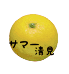超柑橘スタンプ（個別スタンプ：25）