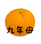 超柑橘スタンプ（個別スタンプ：27）