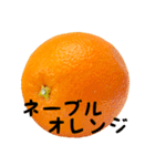 超柑橘スタンプ（個別スタンプ：31）