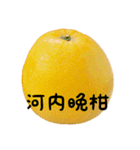 超柑橘スタンプ（個別スタンプ：34）
