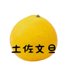 超柑橘スタンプ（個別スタンプ：36）
