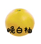 超柑橘スタンプ（個別スタンプ：37）