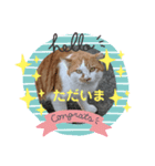 お父さん猫のひとこと（個別スタンプ：7）