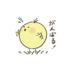 ひよこのダルビッシュ3（個別スタンプ：7）