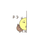 ひよこのダルビッシュ3（個別スタンプ：10）
