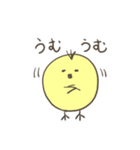 ひよこのダルビッシュ3（個別スタンプ：25）