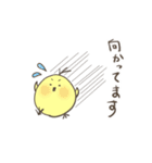 ひよこのダルビッシュ3（個別スタンプ：27）