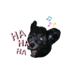 I'mジルベール（個別スタンプ：9）