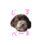 I'mジルベール（個別スタンプ：10）
