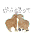 message by me（個別スタンプ：4）