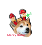 大吉と福のメリークリスマス（個別スタンプ：3）