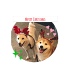 大吉と福のメリークリスマス（個別スタンプ：5）