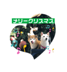 大吉と福のメリークリスマス（個別スタンプ：6）