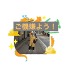 五十嵐先生ご挨拶集②（個別スタンプ：5）