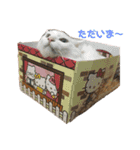 めかぶとたらこ（個別スタンプ：1）